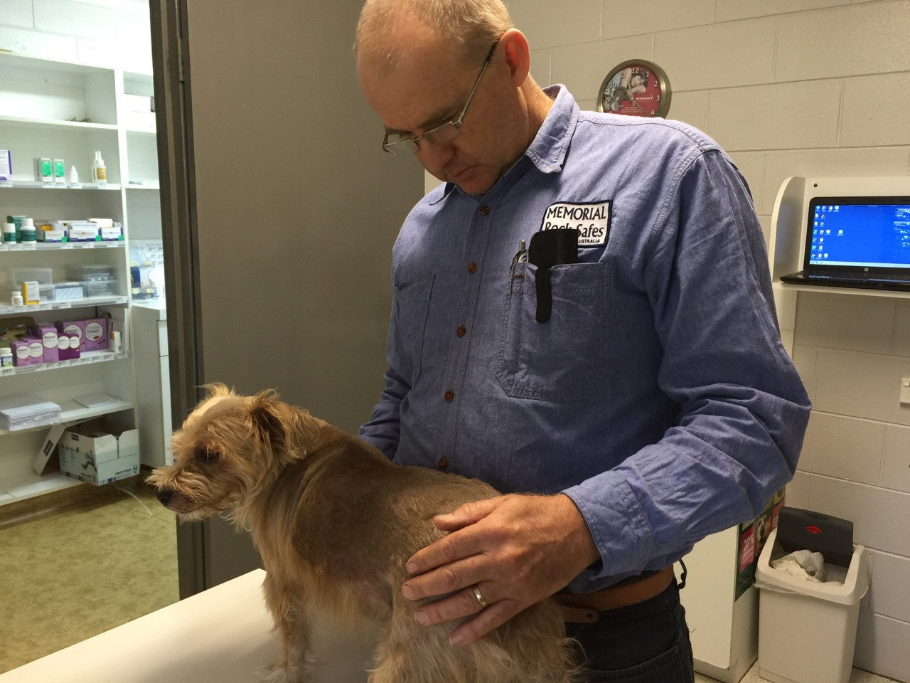 Bee Sting for Friday the Doglet