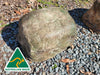 Export Quality Memorial Rock Urn 1755