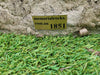 Memorial Rock Urn 1851 Regular Natural Riversand