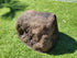 urn for cremated ashes