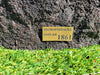 Memorial Rock Urn 1861  Medium Charchole / Black