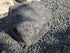 Memorial Rock Urn 2138 Large Double Black