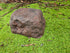 Memorial Rock Urn  2149 Regular Black