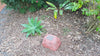 Discounted Memorial Rock Urn 1098 Medium Red