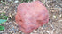 Memorial Rock Urn 1100 Large Single Red