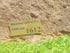 Memorial Paver Stone 1612  (Not an Urn) (plaque sold separately)