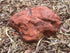 Memorial Paver Stone 759 (Not an Urn) Outback Red Series (not including plaque)